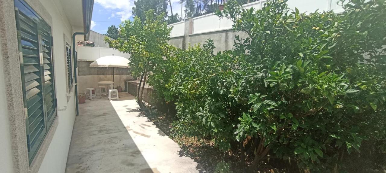 הוילה וילה ריאל Casa Machado מראה חיצוני תמונה